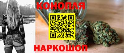 стаф Бузулук