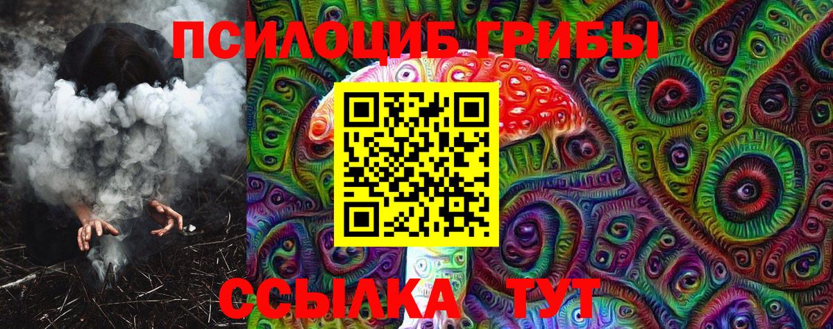 Галлюциногенные грибы Magic Shrooms Нижнекамск
